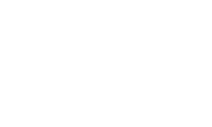 polish pro logo